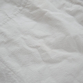L3340306.JPG