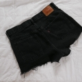 L3360013.JPG