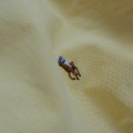 L3360929.JPG