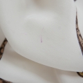 L3380575.JPG