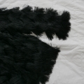 L3380844.JPG