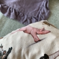 IMG_9263.jpg