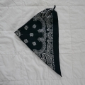 L3420500.JPG