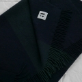 L3460016.JPG