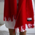 L3460033.JPG