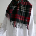 L3460051.JPG