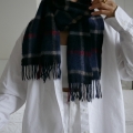 L3460059.JPG