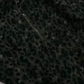 L3470852.JPG