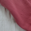 L3500593.JPG