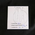 L3520246.JPG