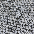 L3530249.JPG