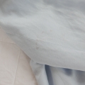 L3540466.JPG