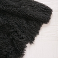 L3560109.JPG