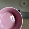 IMG_9434.jpeg